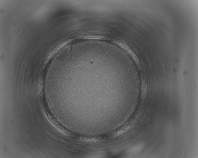 X0000085250533200703091300