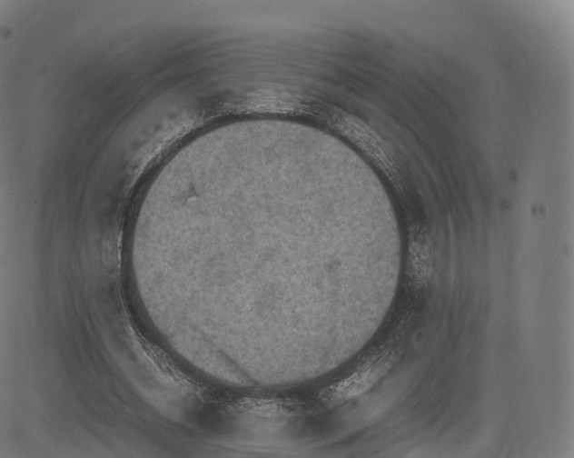 X0000085250534200703091300