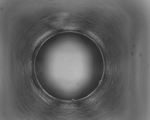 X0000085250535200703091300