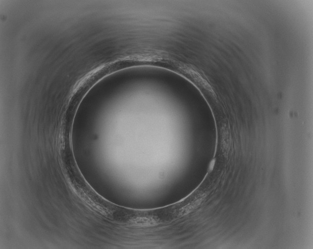 X0000085250536200703091300