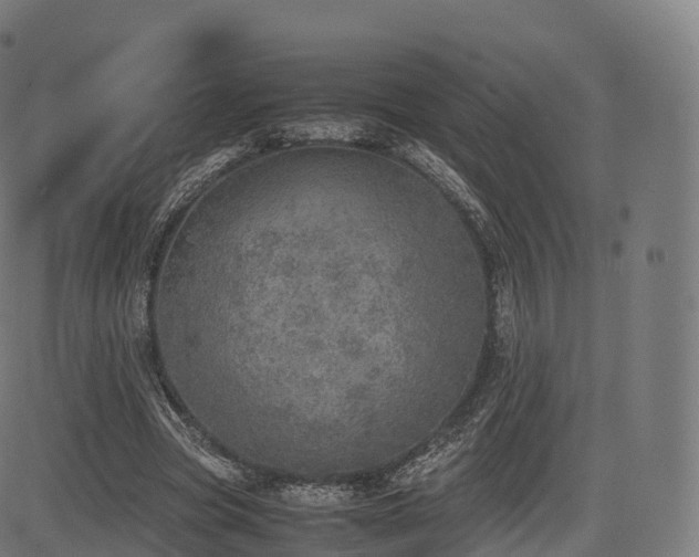 X0000085250537200703091300