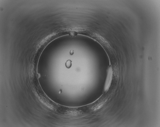 X0000085250540200703091300