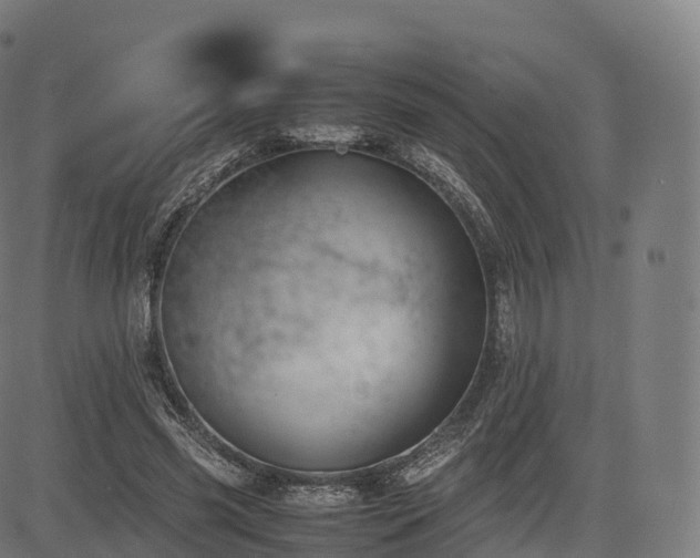 X0000085250541200703091300