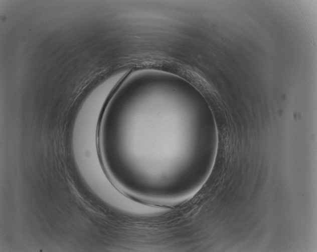 X0000085250546200703091300