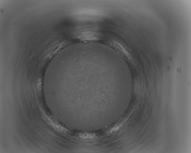 X0000085250549200703091300