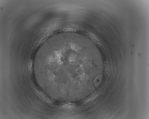 X0000085250550200703091301