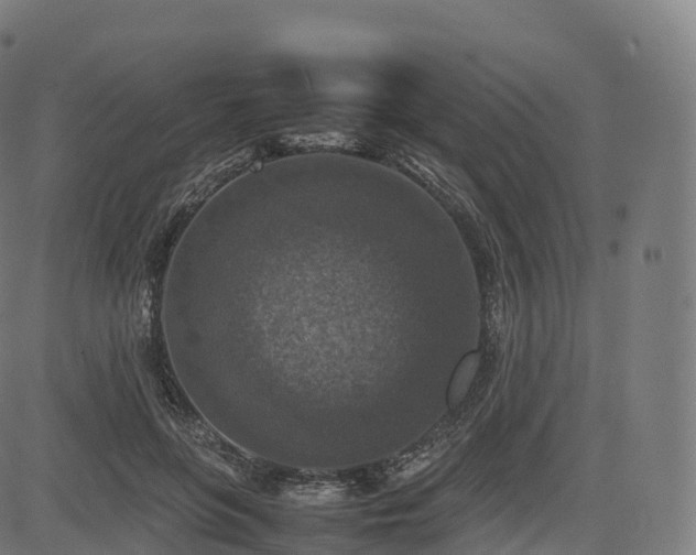 X0000085250551200703091301