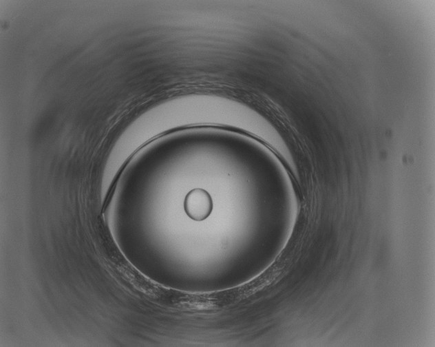 X0000085250552200703091301