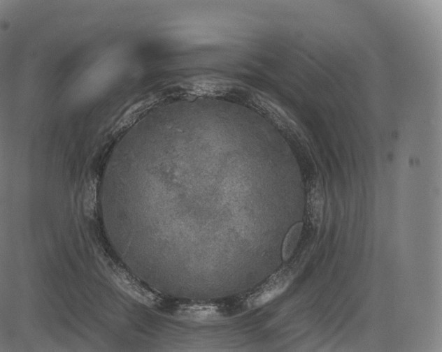 X0000085250554200703091301