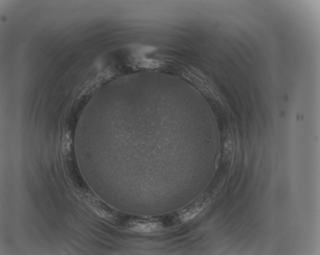 X0000085250555200703091301