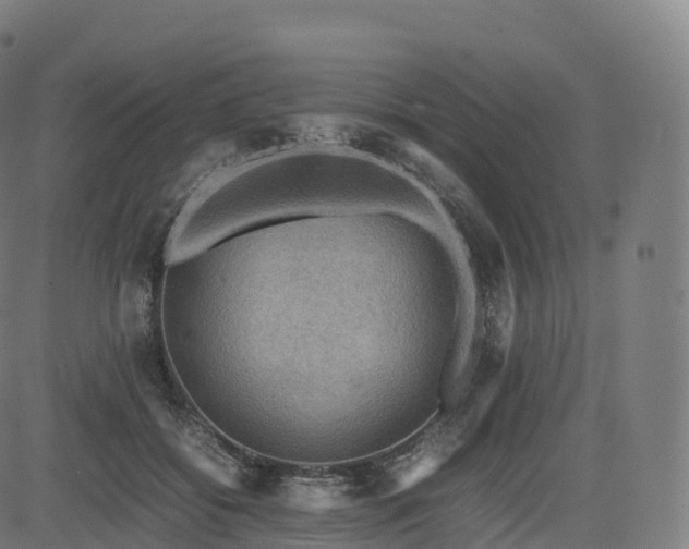 X0000085250556200703091301