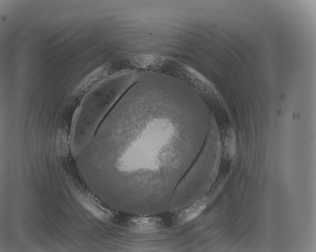 X0000085250558200703091301