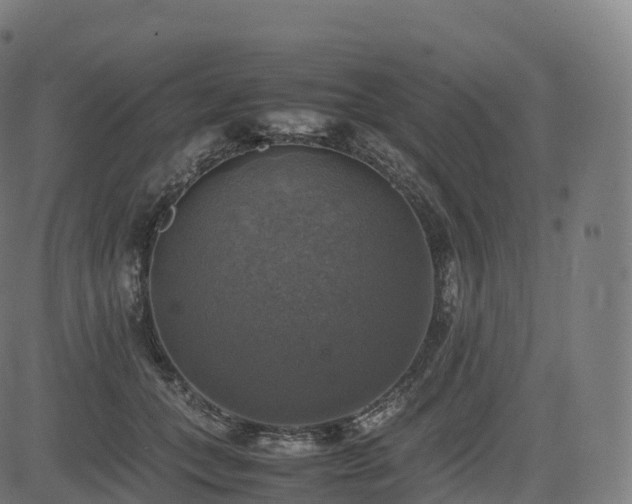 X0000085250559200703091301