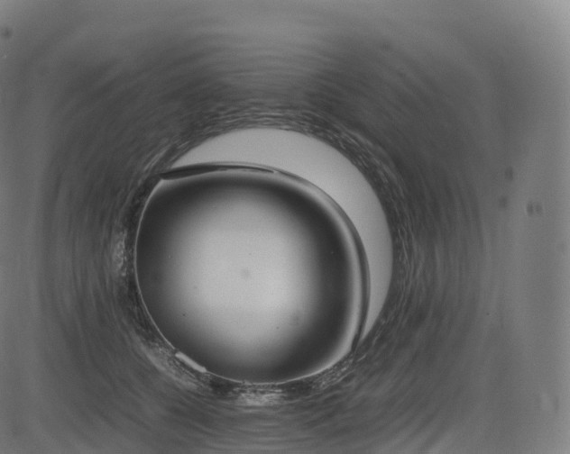 X0000085250560200703091301