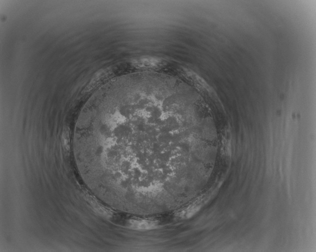 X0000085250561200703091301