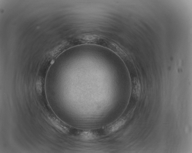 X0000085250562200703091301