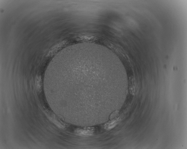 X0000085250563200703091301