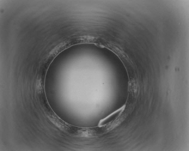 X0000085250564200703091301