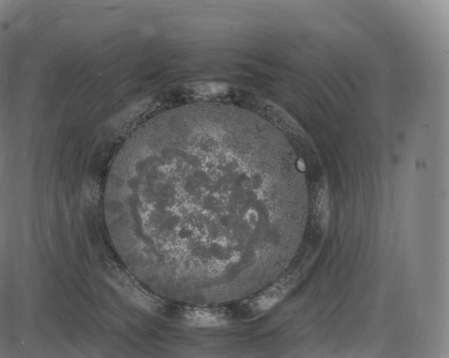 X0000085250565200703091301