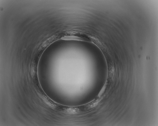 X0000085250566200703091301