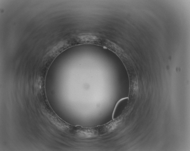 X0000085250567200703091301