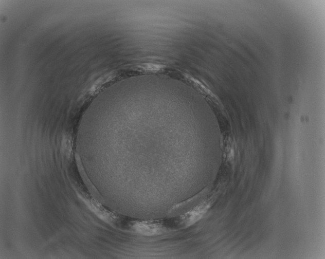 X0000085250568200703091301