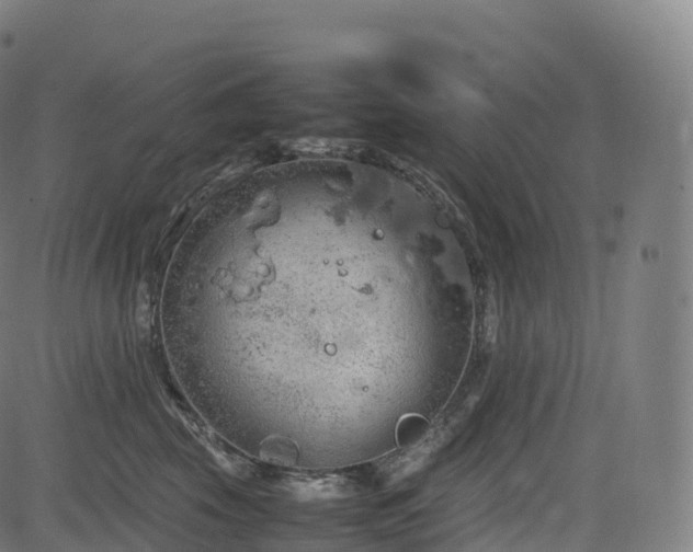 X0000085250569200703091301