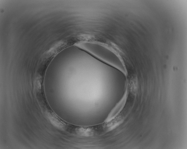 X0000085250570200703091301