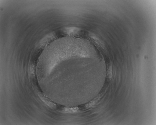 X0000085250571200703091301