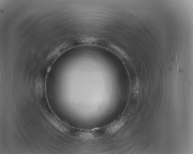 X0000085250572200703091301