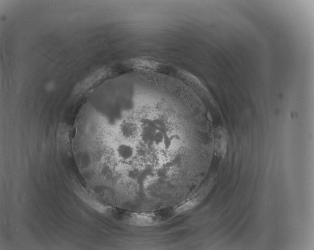 X0000085250573200703091301