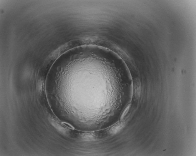 X0000085250574200703091301