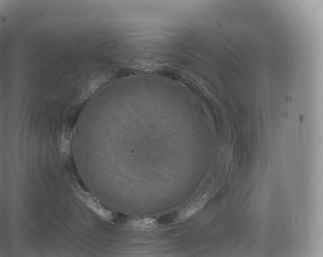 X0000085250576200703091301