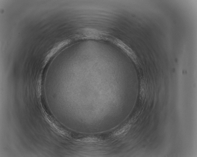 X0000085250578200703091300