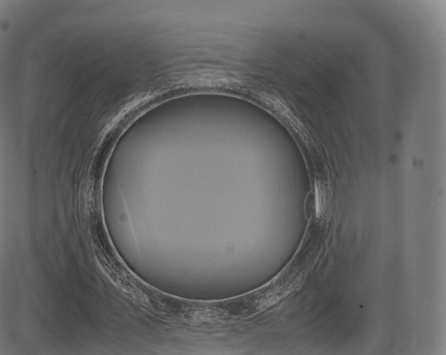 X0000085250579200703091300