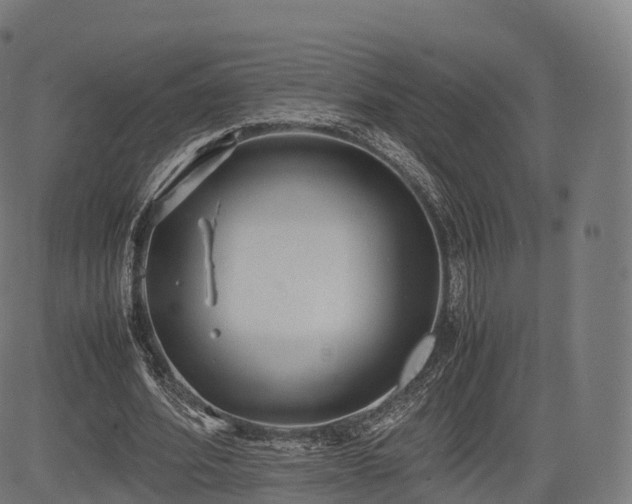 X0000085250580200703091300