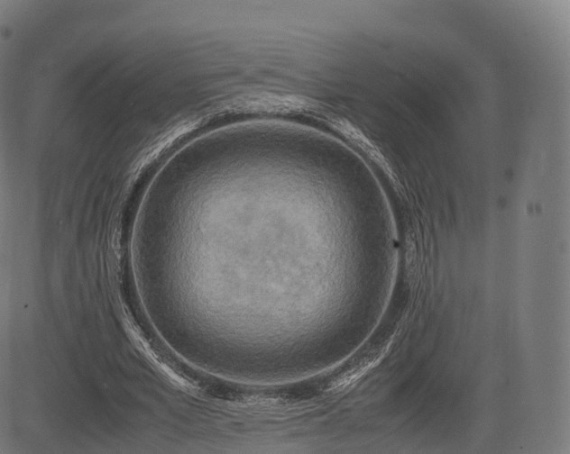 X0000085250581200703091300