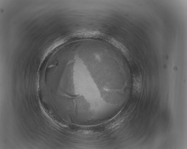 X0000085250582200703091300