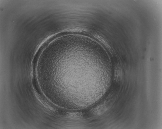 X0000085250584200703091300