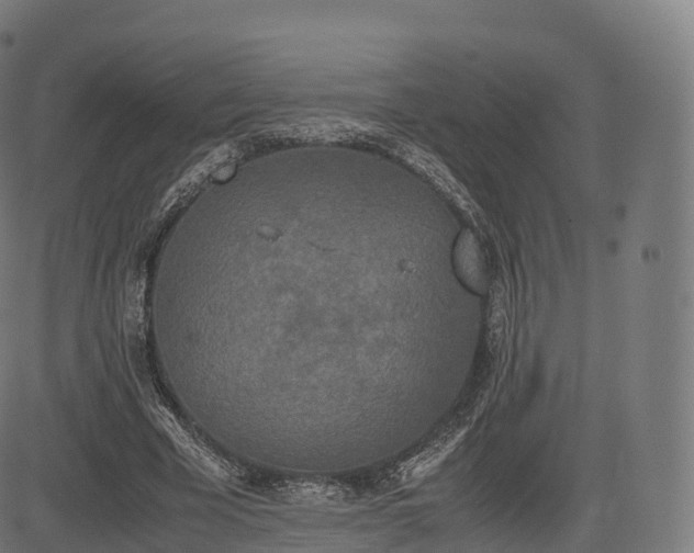 X0000085250585200703091300