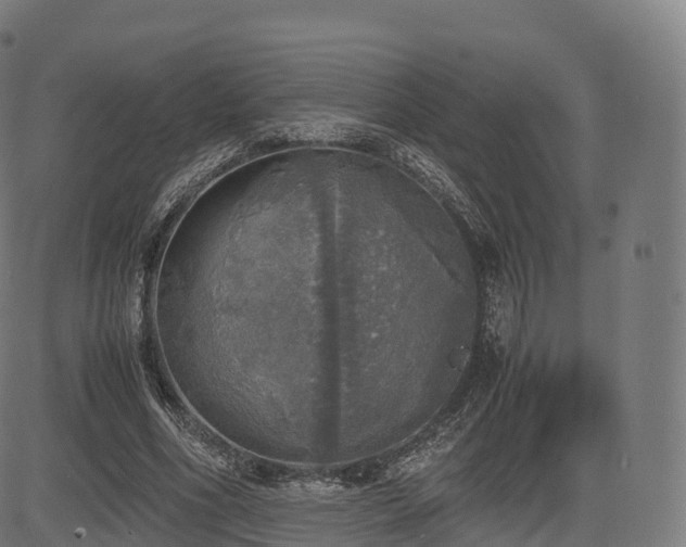 X0000085250586200703091300