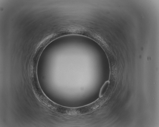 X0000085250587200703091300