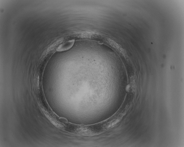 X0000085250589200703091300