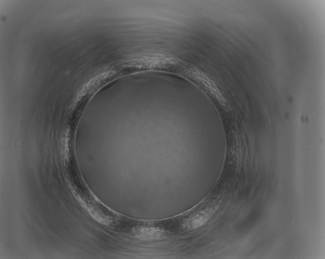 X0000085250590200703091300