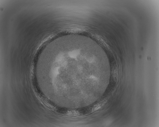 X0000085250591200703091300