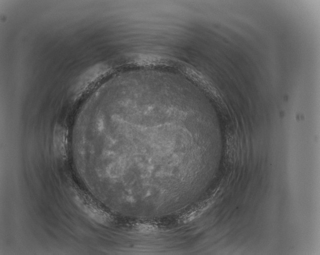 X0000085250592200703091300