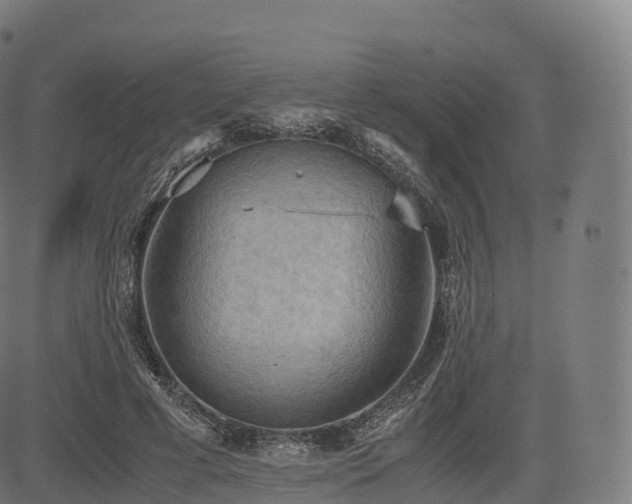 X0000085250593200703091300