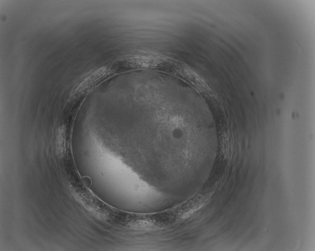 X0000085250594200703091300