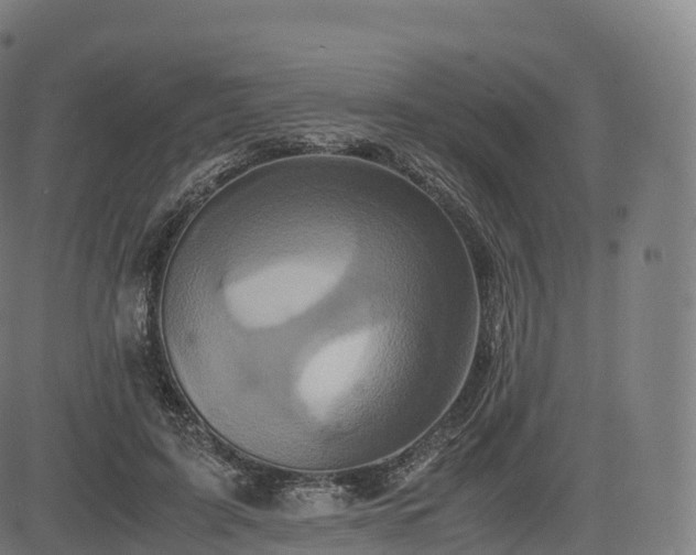 X0000085250595200703091300