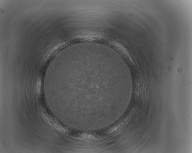 X0000085250596200703091300